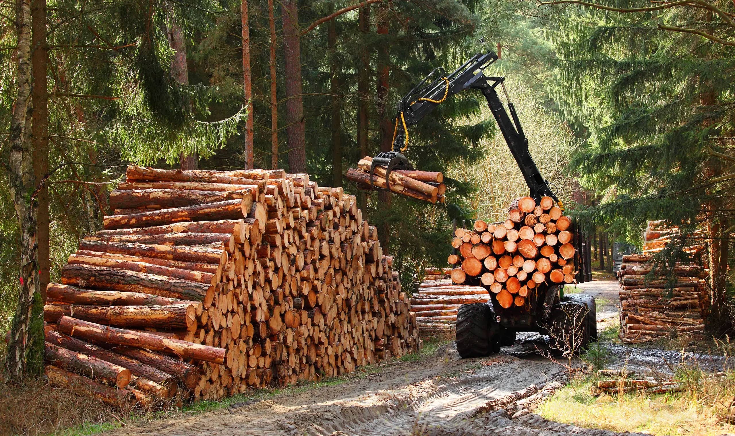 Holzstapler