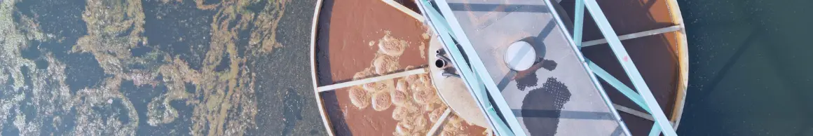 Assainissement-collectif-et-industriel-bannière-BIBUS-France