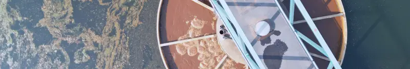 Collective and industrial sanitation