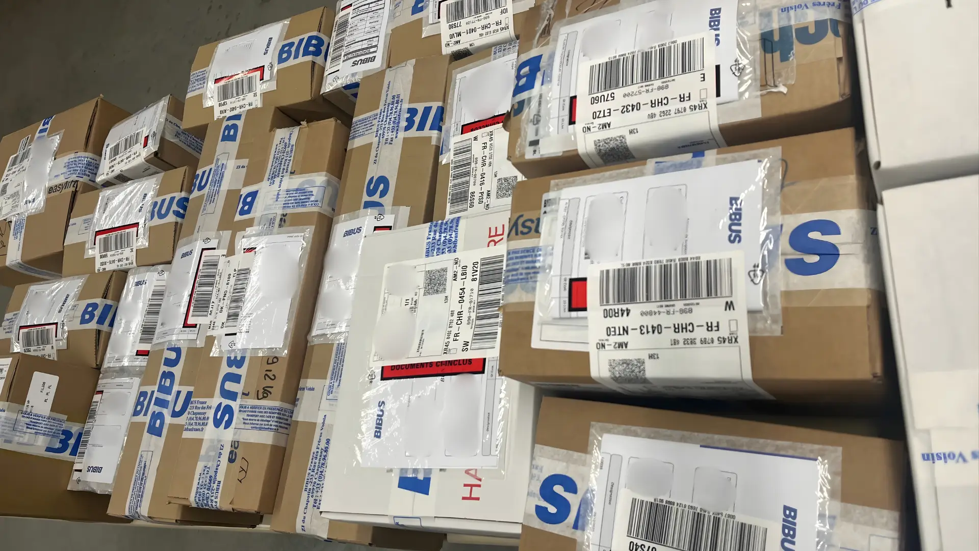 Logistics-number-of-orders-delivered-BIBUS-France