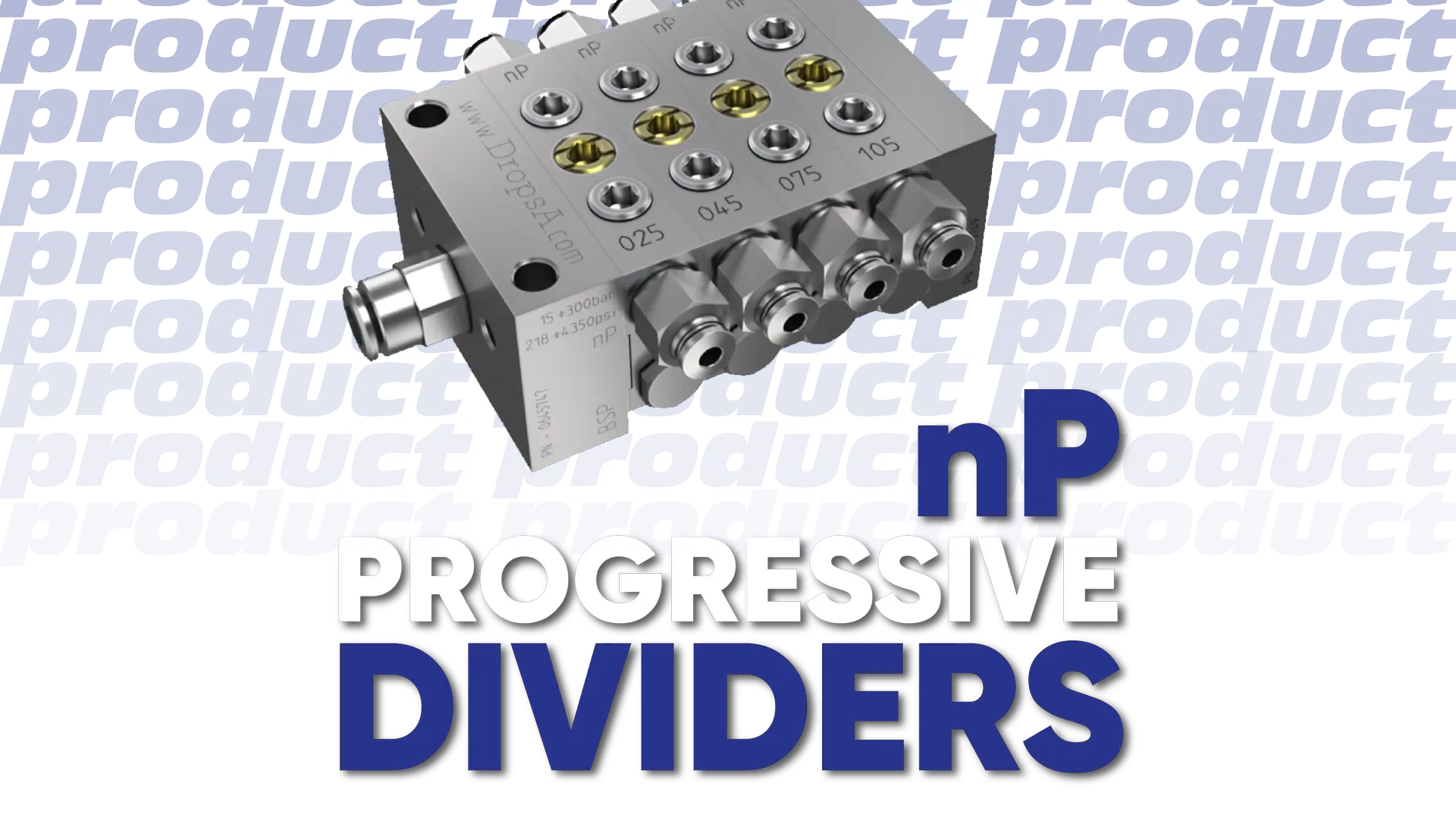 NEWSLETTER giugno dividers