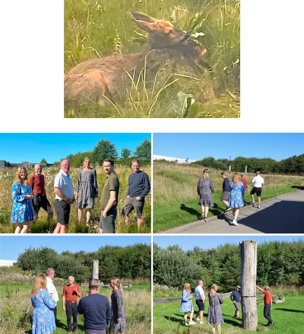 Rådyr fødsel & Bio-møde 2025