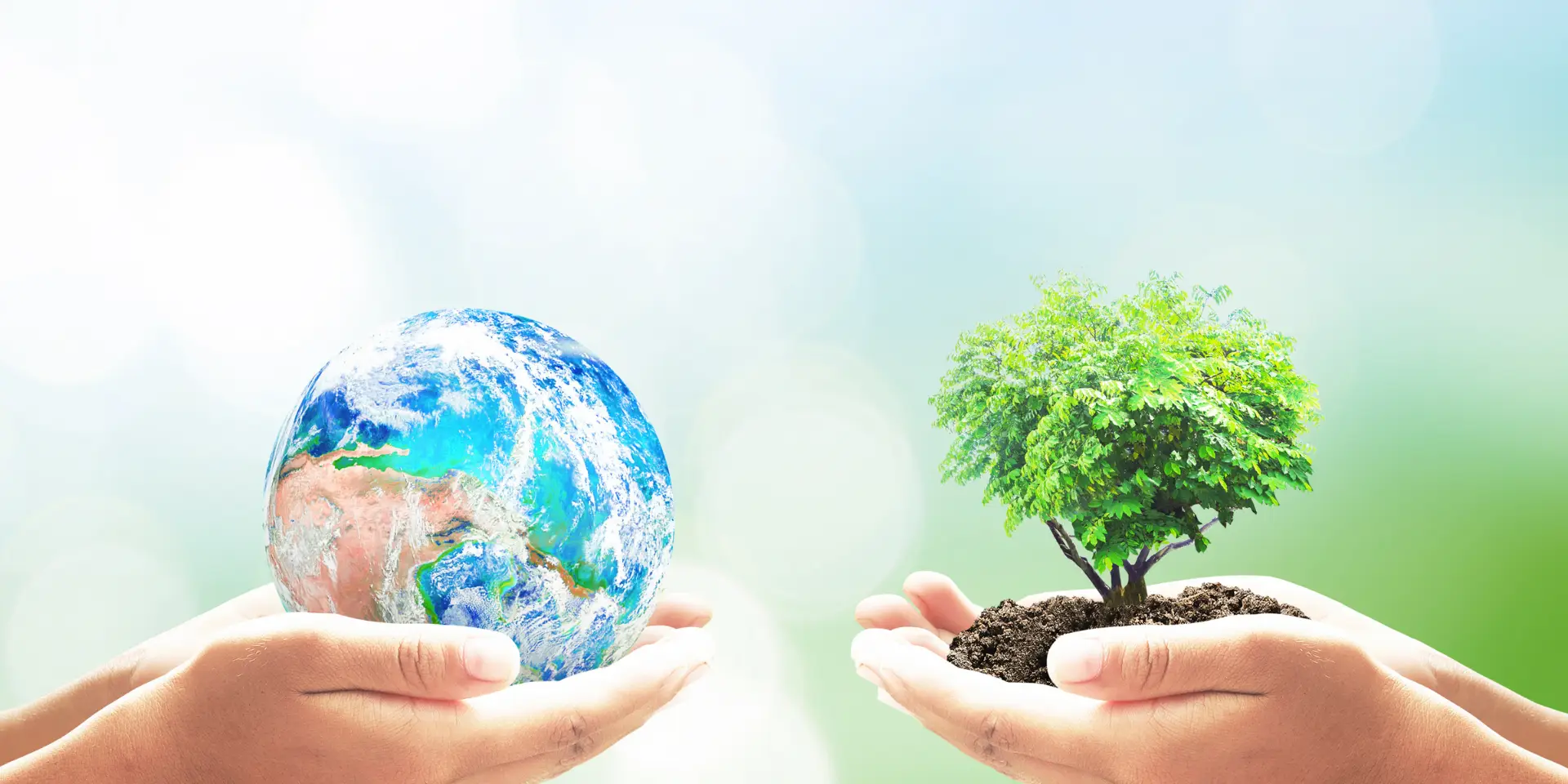 towards-sustainable-practices-BIBUS-France