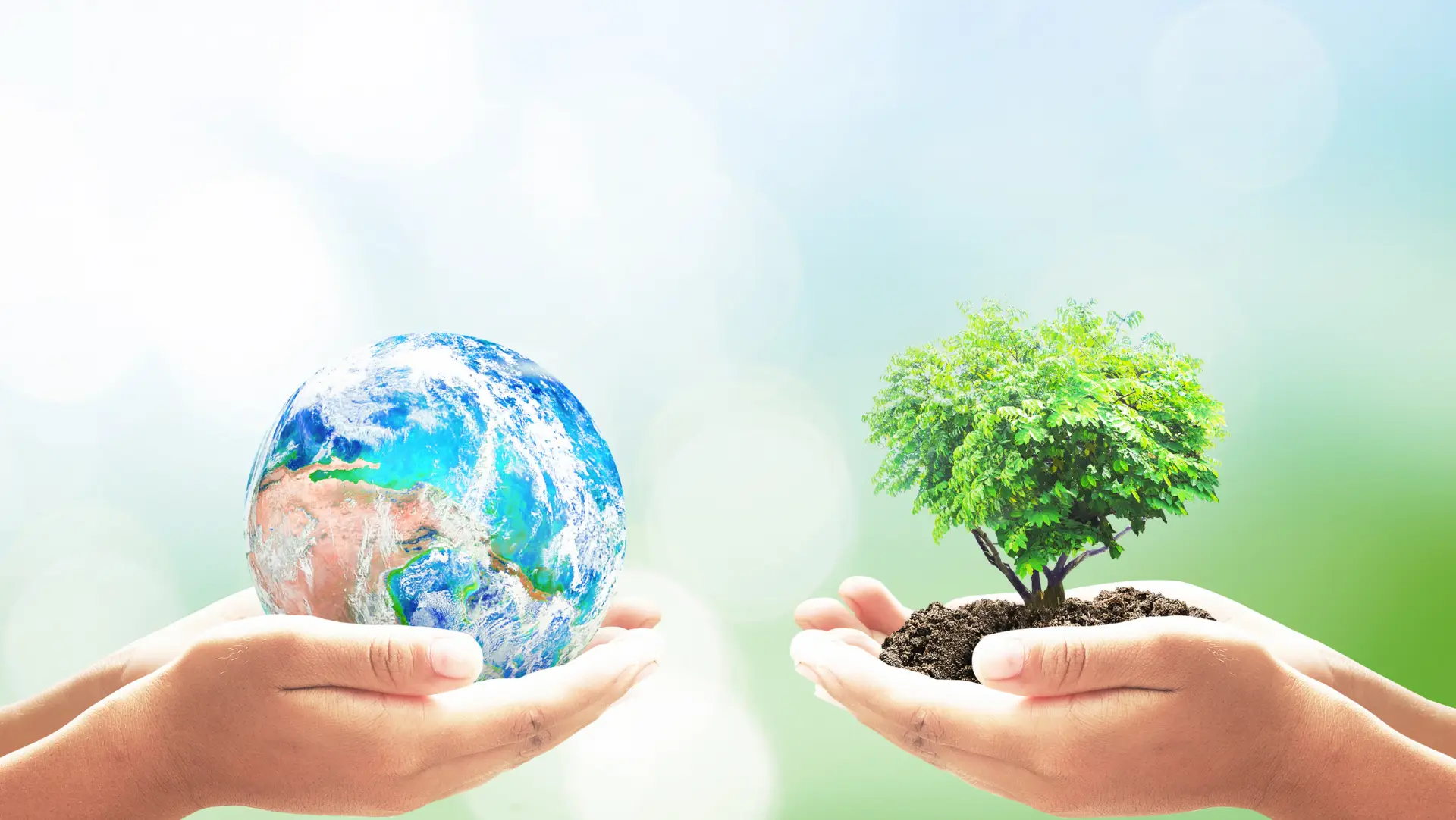 towards-sustainable-practices-BIBUS-France