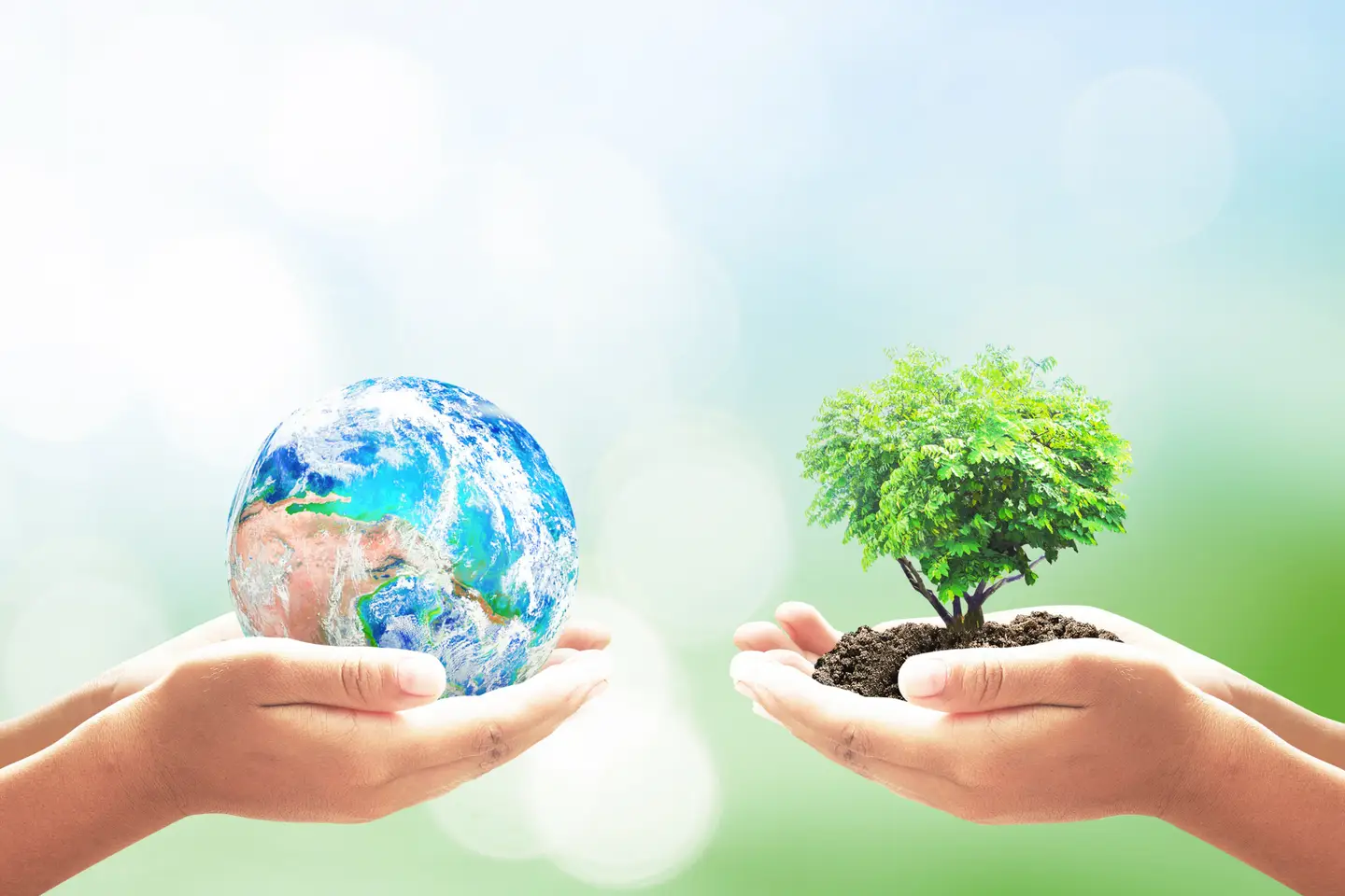 towards-sustainable-practices-BIBUS-France
