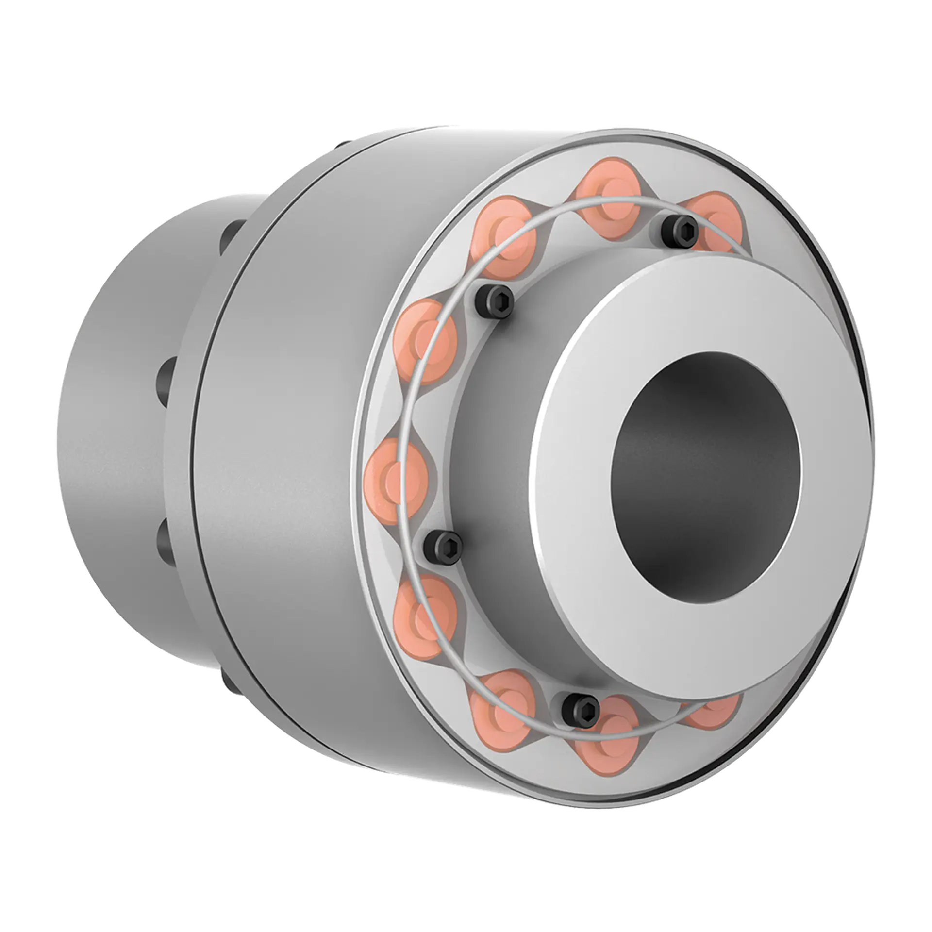 TNR 2428.1 torsional highflex coupling
