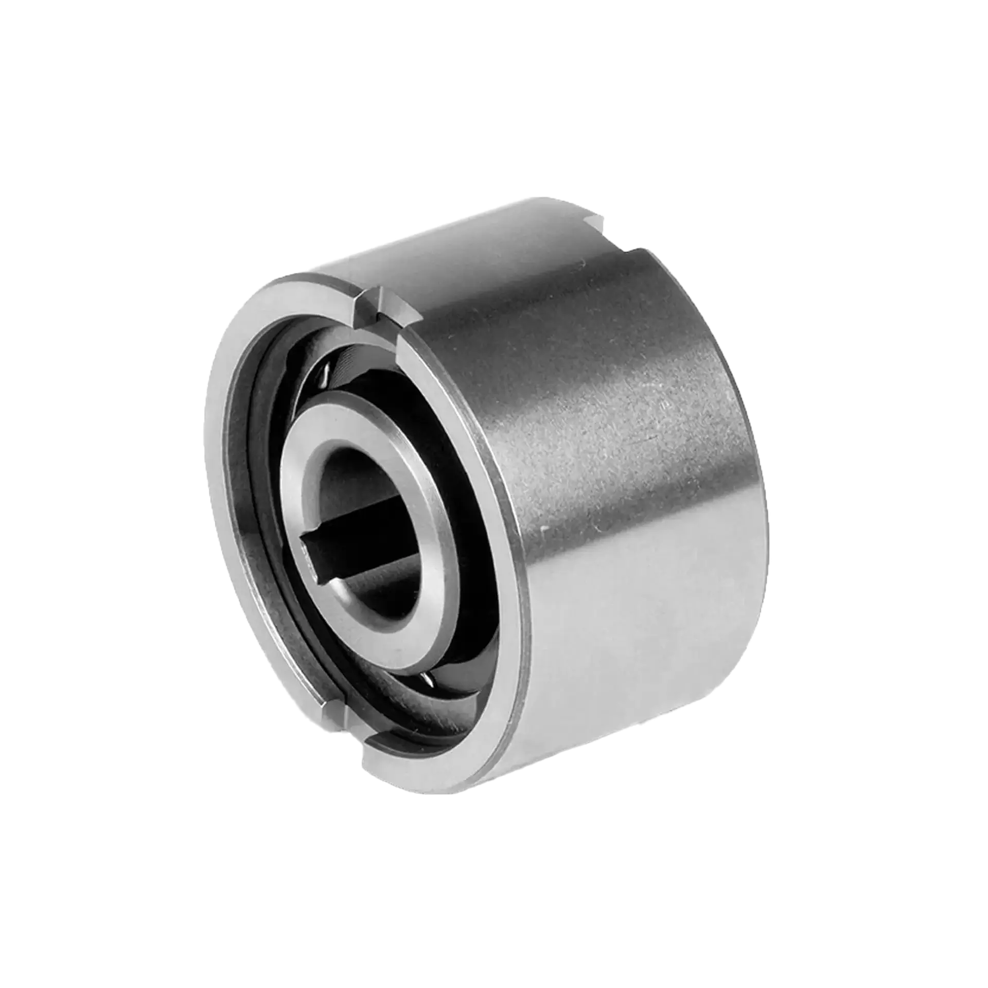 NF roller type freewheel without bearings