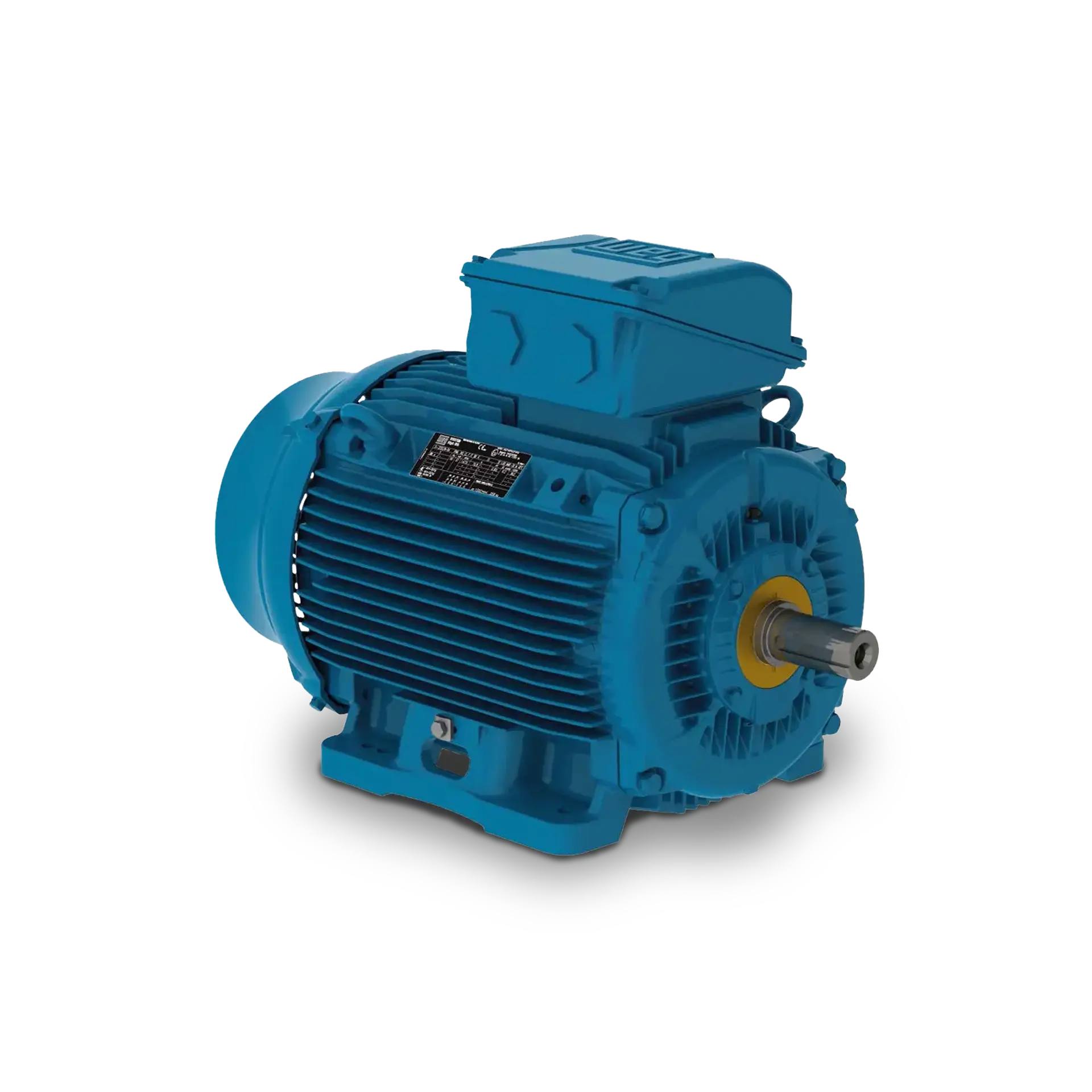 W22Xtb Drehstrom-Käfigläufermotor (Zone 21)