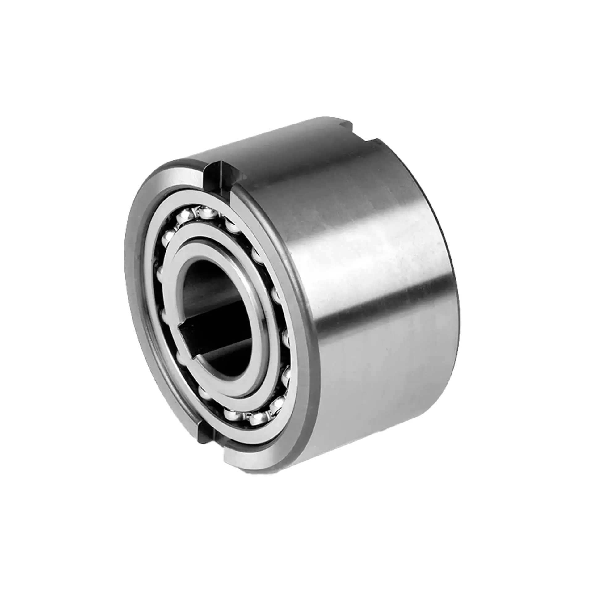 NFR bearing-supported roller type freewheel