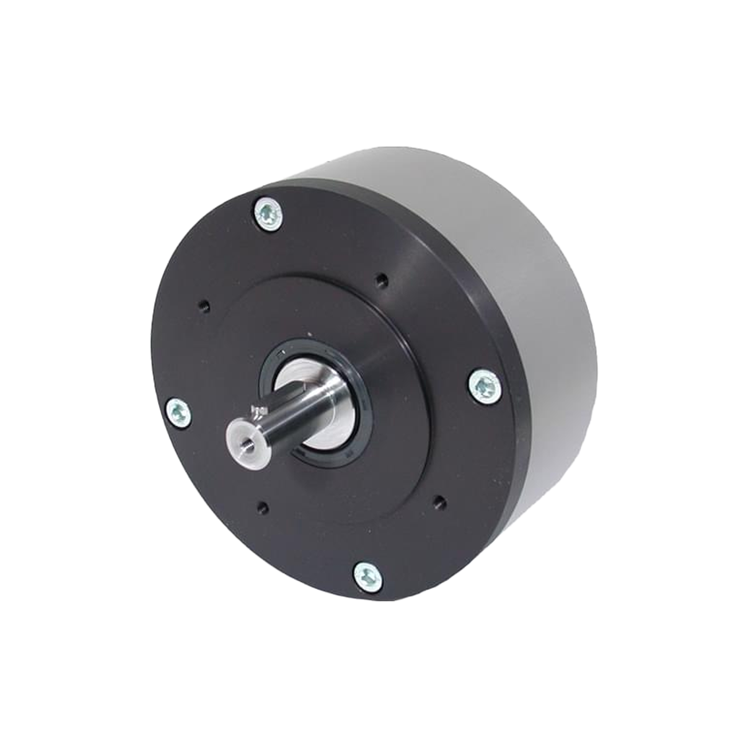 Pneumatic radial piston motor