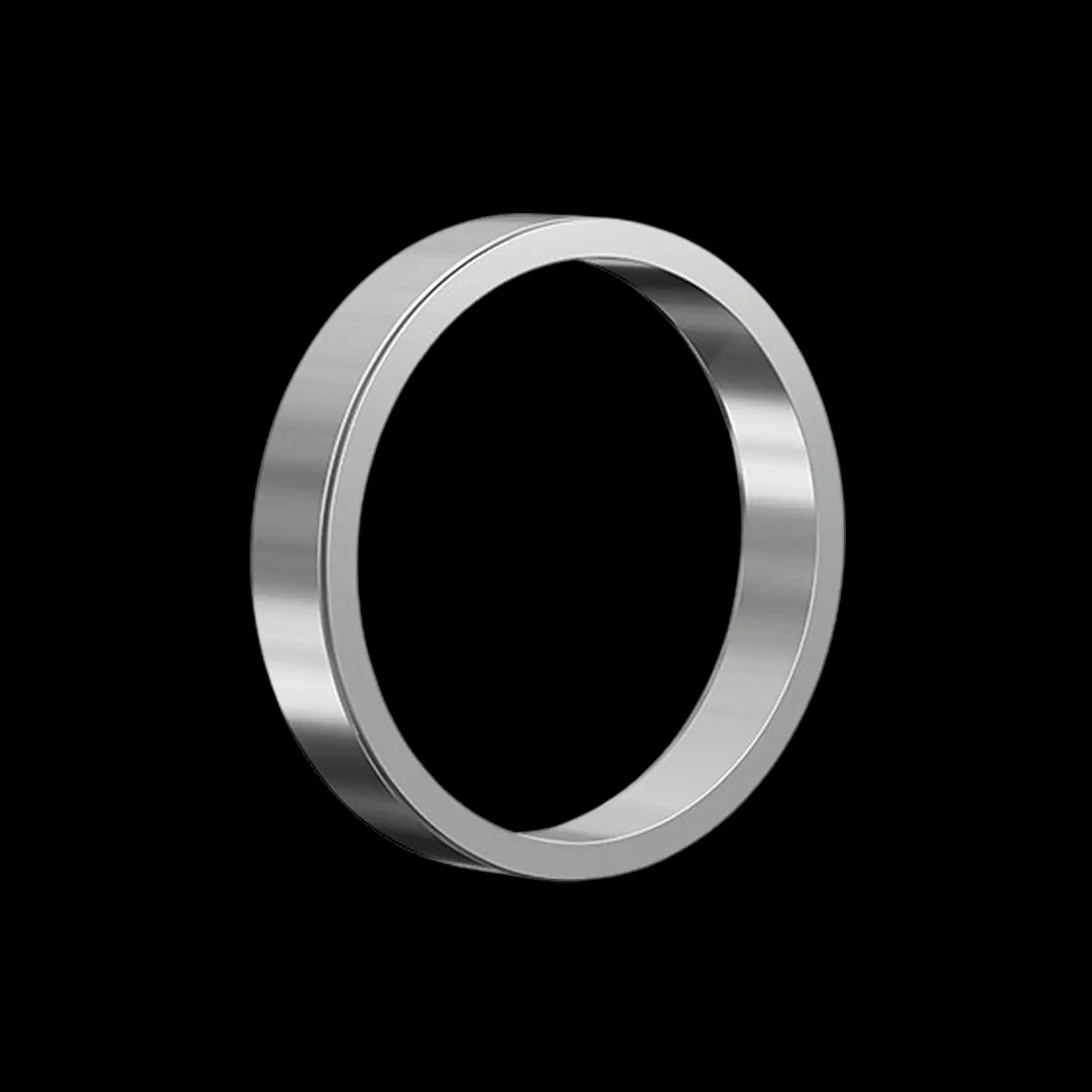 RfN 8006 stainless steel